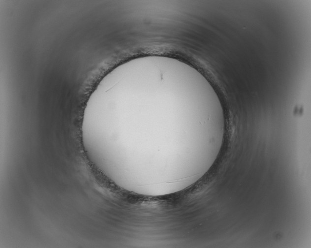 X0000111820307200907231031