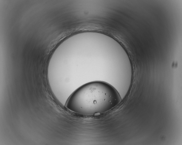 X0000111820309200907231031