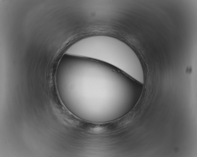 X0000111820312200907231031