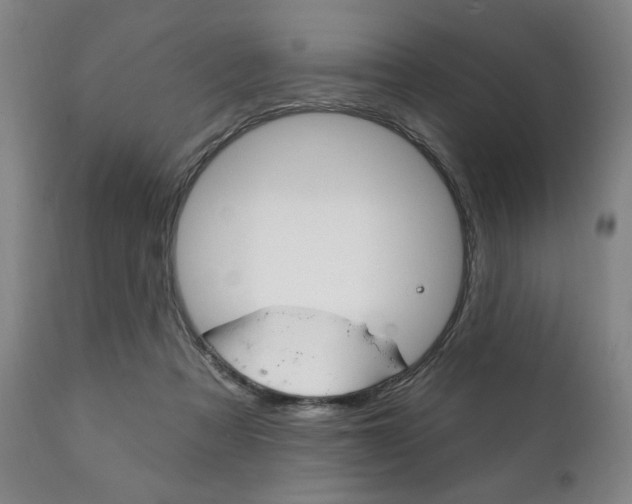 X0000111820313200907231031