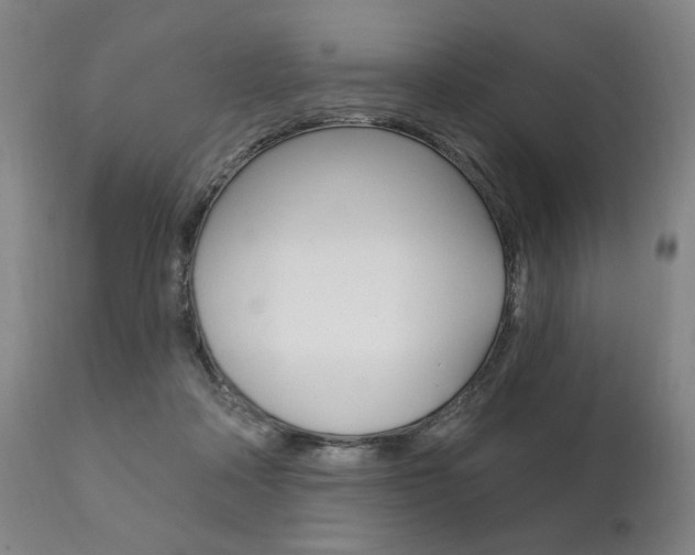 X0000111820314200907231031