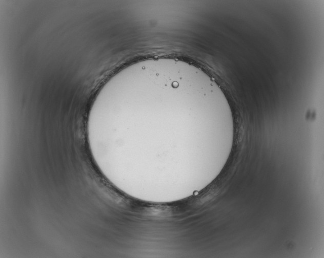 X0000111820317200907231031