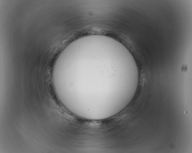 X0000111820318200907231031