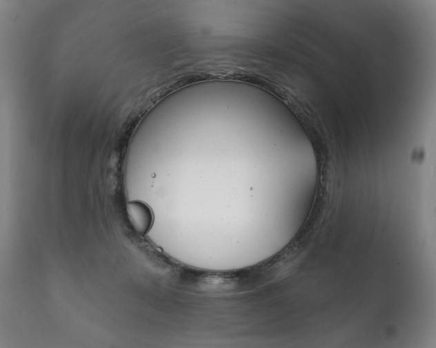 X0000111820319200907231031