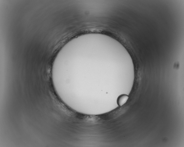 X0000111820321200907231031