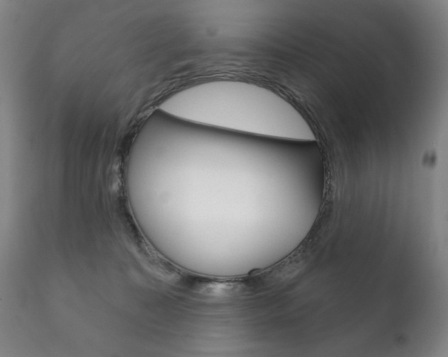 X0000111820323200907231031