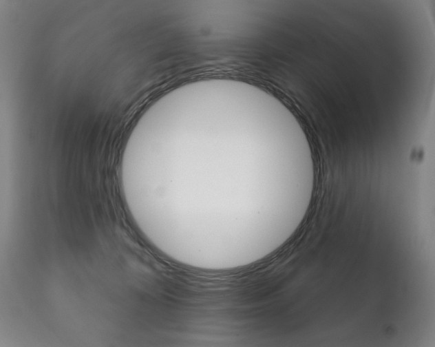 X0000111820324200907231031