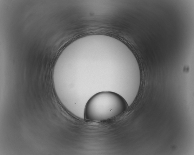 X0000111820325200907231031