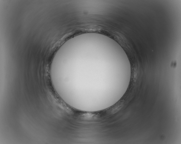 X0000111820326200907231031