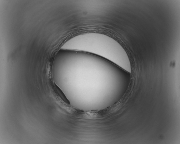 X0000111820328200907231031