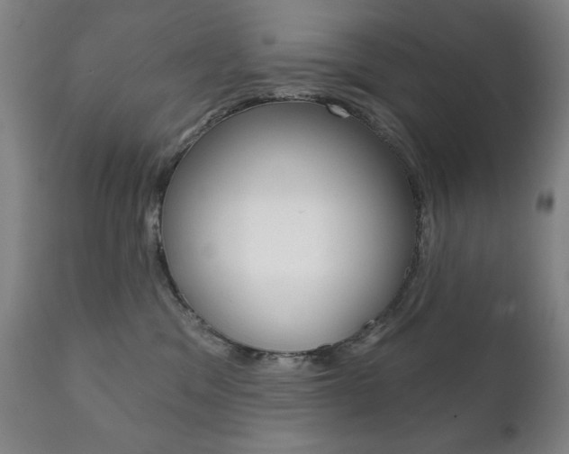 X0000111820329200907231031