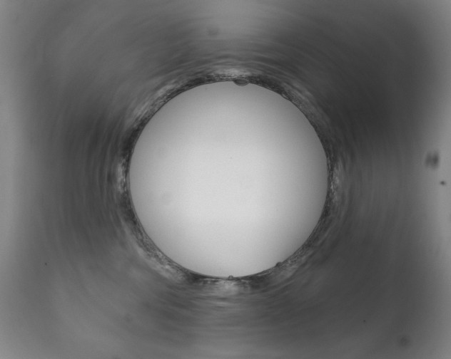 X0000111820330200907231031