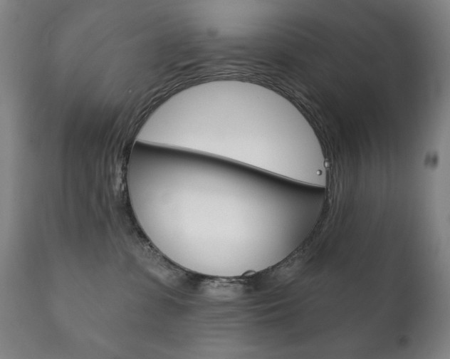 X0000111820331200907231031