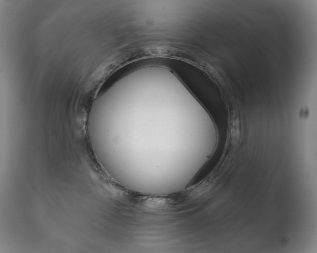X0000111820332200907231031