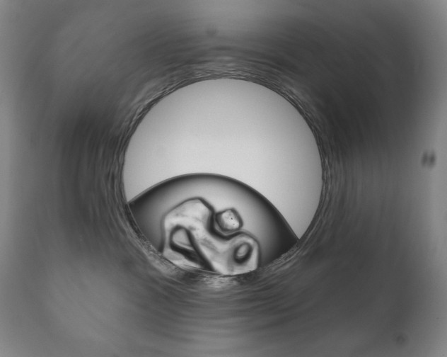 X0000111820333200907231030