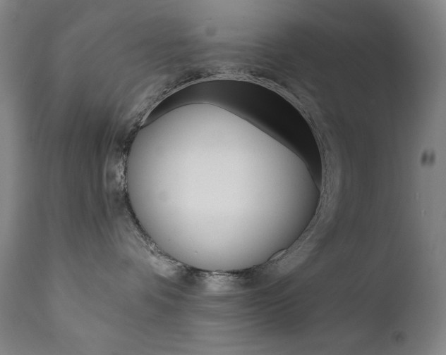 X0000111820336200907231030