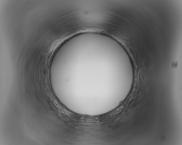 X0000111820337200907231030