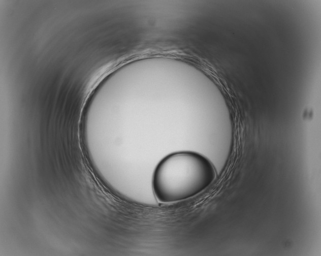 X0000111820340200907231030