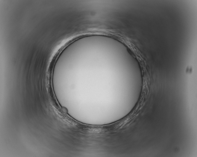X0000111820342200907231030