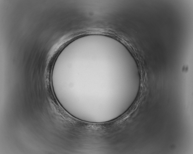 X0000111820343200907231030