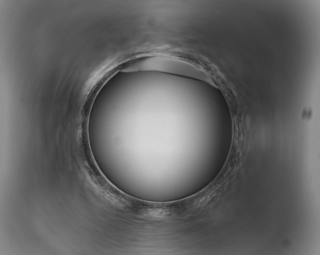 X0000111820344200907231030