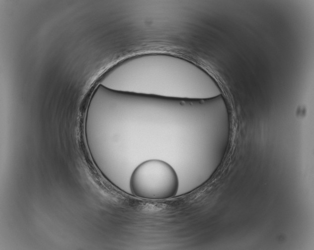 X0000111820346200907231030