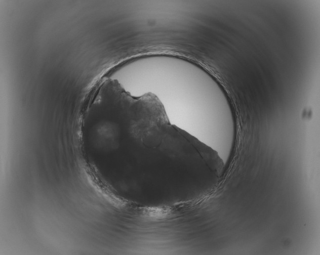 X0000111820347200907231030