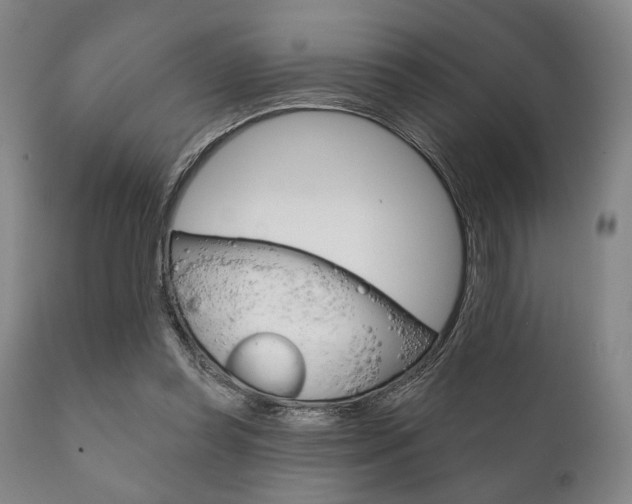 X0000111820349200907231030