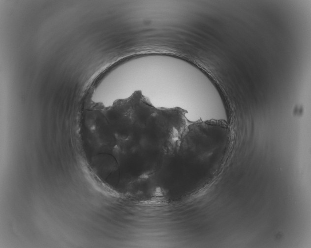 X0000111820351200907231030