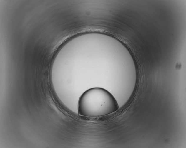 X0000111820352200907231030