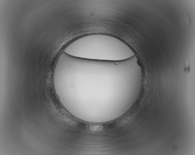 X0000111820355200907231030