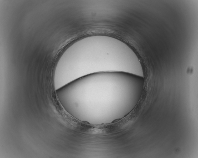 X0000111820356200907231030