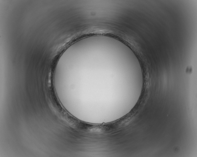 X0000111820358200907231030
