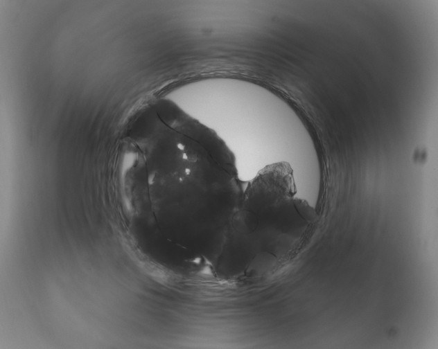 X0000111820359200907231030