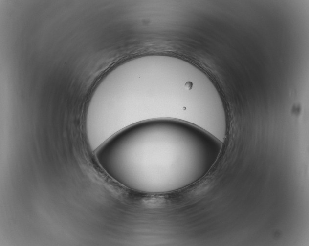 X0000111820362200907231030