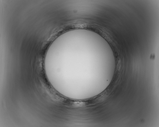 X0000111820363200907231030