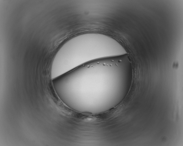 X0000111820364200907231030