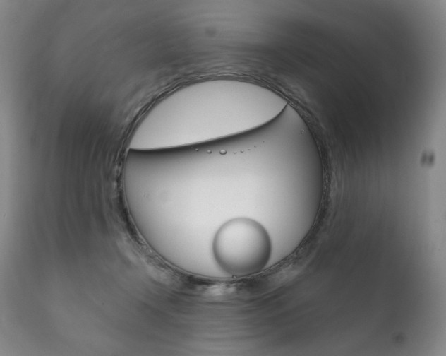 X0000111820366200907231030