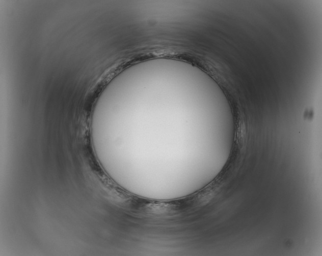 X0000111820367200907231030