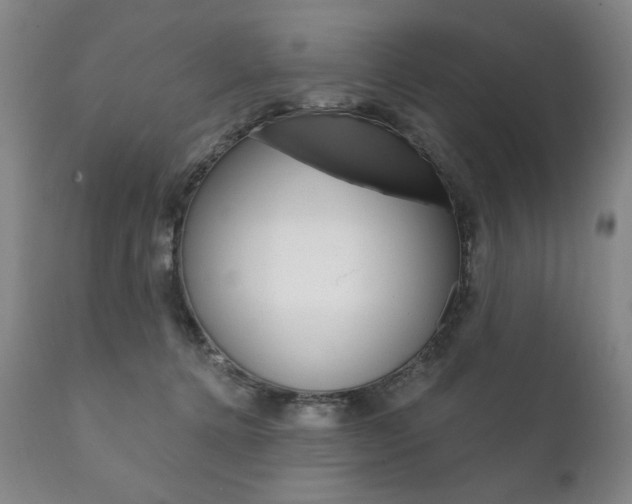 X0000111820368200907231030