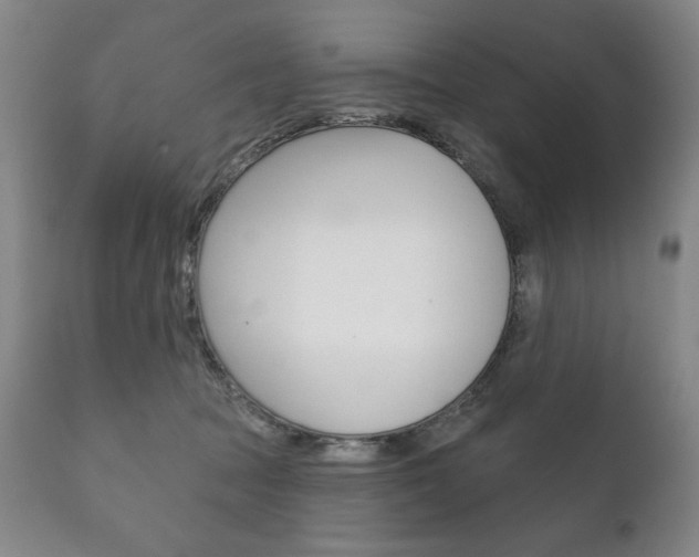 X0000111820369200907231030
