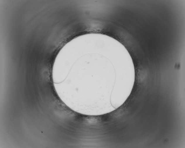 X0000111820370200907231030