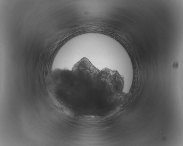X0000111820371200907231030