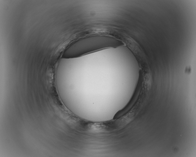 X0000111820372200907231030