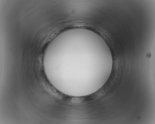 X0000111820373200907231030