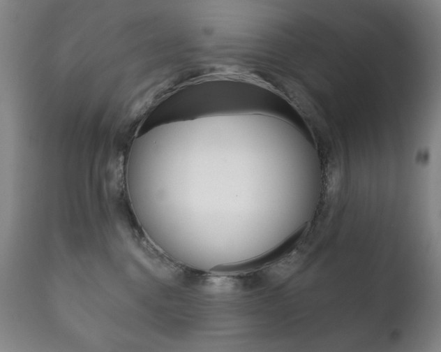 X0000111820376200907231030