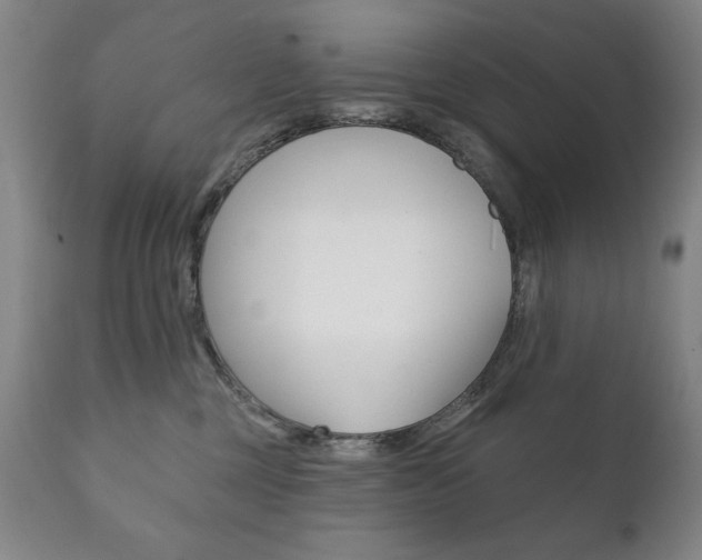 X0000111820377200907231030