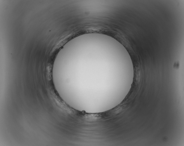 X0000111820378200907231030