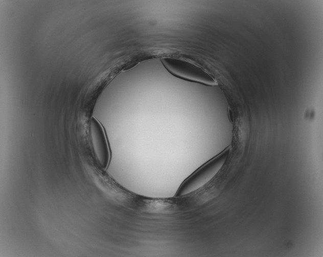 X0000111820380200907231030