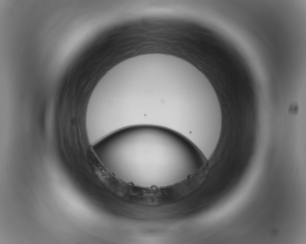 X0000111820382200907231030